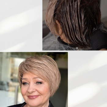   техники работа з сивиною