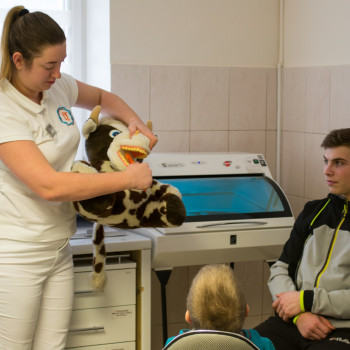 DenTectum, Киев Фото - 5