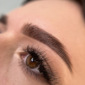 Архітектура брів