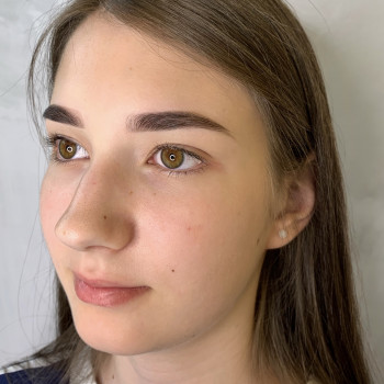 Архітектура брів