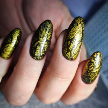 Манікюр з покриттям та укріпленням
                    Майстер манікюру Тетяна Чернівці