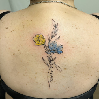 Наталія Семенцова, Чернигов Фото - 49