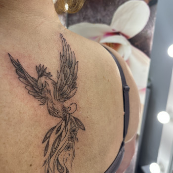 Тату женские на спине феникс, фото - Мастер перманентного макияжа Наталія Семенцова