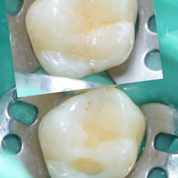 Інна Король, Хмельницький Фото - 6