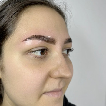 Ламінування брів з фарбуванням
                    Бровист Ирина Николаев