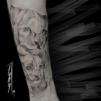 Павел Агранович, Кривой Рог Фото - 11