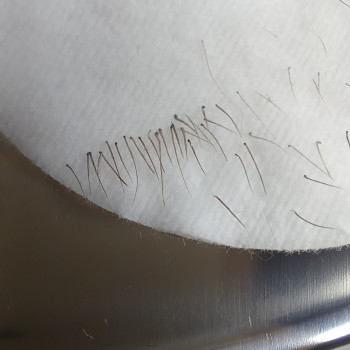 Лариса Сульжук, Хмельницький Фото - 24