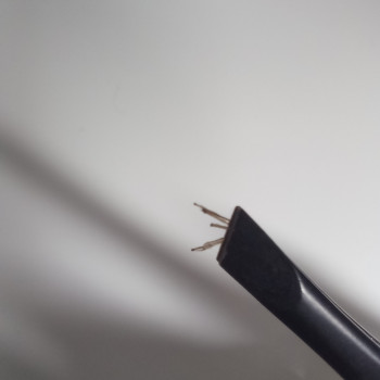 Лариса Сульжук, Хмельницький Фото - 25