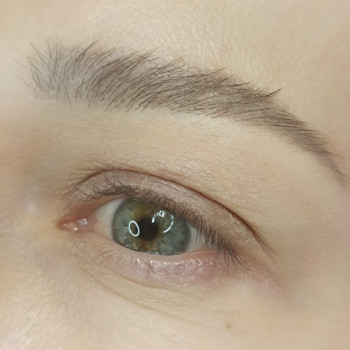 Ламінування вій
                    Бровіст Яна Київ