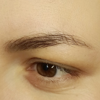 Ламінування довготривала укладка брів
                    Бровист Яна Киев