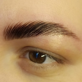 Ламінування довготривала укладка брів
                    Бровист Яна Киев