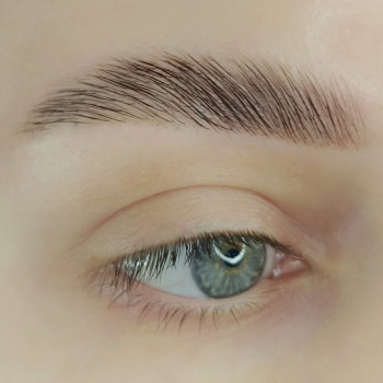 Ламінування довготривала укладка брів
                    Бровист Яна Киев