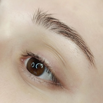 Ламінування довготривала укладка брів
                    Бровист Яна Киев