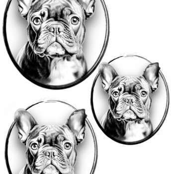 Тату эскиз собака, фото - Тату салон Tattoo hub