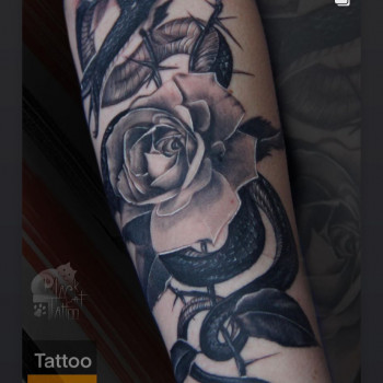 Татуювання будь-якої складності
                    Тату салон  Черкассы