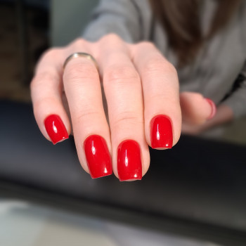 Анна Хорошевская, Харків Фото - 2