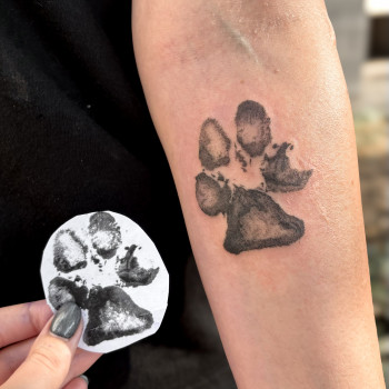 Відбиток лапки домашнього улюбленця. Майстер Бронза