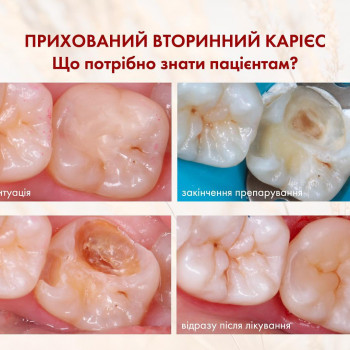 Sense, Харьков Фото - 5