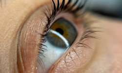 Ламінування вій Салон краси  Ірпінь