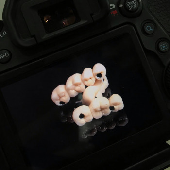 KDS, Харьков Фото - 5