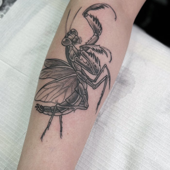 Оля Довмат , Рівне Фото - 13