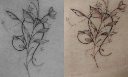 Лазерне видалення татуюваня Тату салон Tattoo Code Черкаси