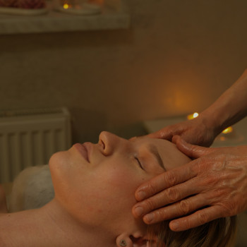 Масаж спини (спина, пояниця, шийно-комірна зона)
                    Масажний салон Terra SPA Вишневе