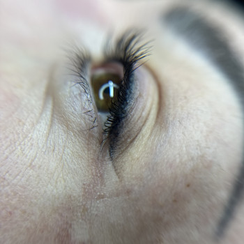 Parizan studio, Кам'янець-Подільський Фото - 7