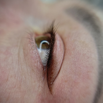 Parizan studio, Кам'янець-Подільський Фото - 9