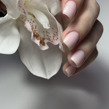 Bloom Beauty Bar, Киев Фото - 19