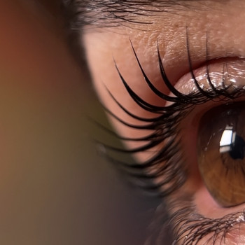 Ламінування вій + ботокс/золото для вій
                    Бровист Наталія Ивано-Франковск