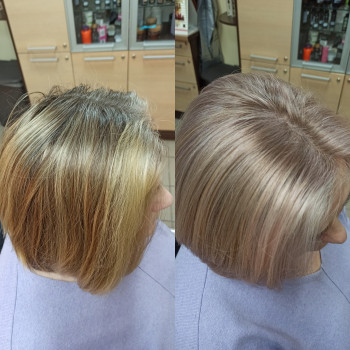   сивини харків  сивини харків 