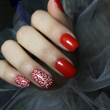 Софія Сенькевич, Дніпро Фото - 12