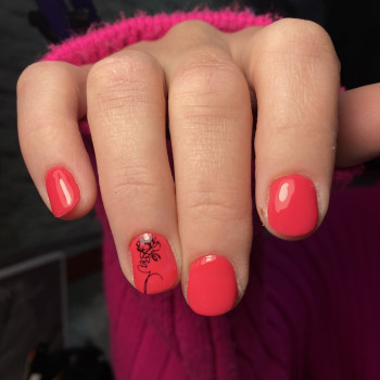 Софія Сенькевич, Дніпро Фото - 13