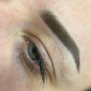 Пудрові брови