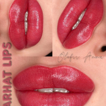 Губки - суха кисть