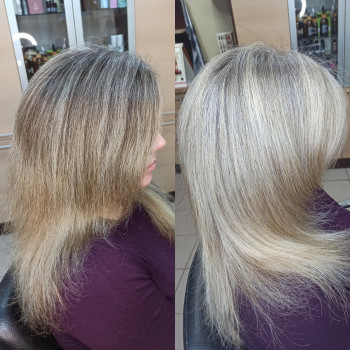    сивини харків 