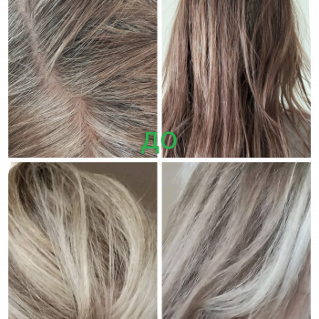  + фарбування-камуфлювання сивини+тонування всього волосся. Час 2 .5 год. Вартість 850 грн