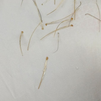 Анастасія , Черкаси Фото - 10