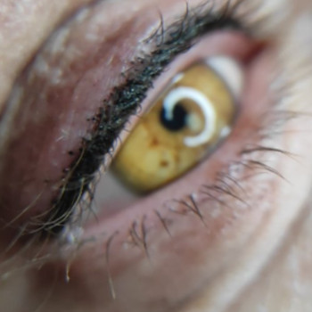 Тетяна Бігус, Тернопіль Фото - 5