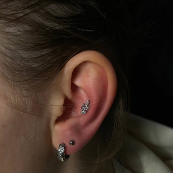 Gust, Киев Фото - 22