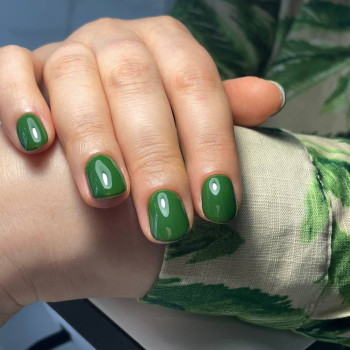 Marinel, Чернігів Фото - 18