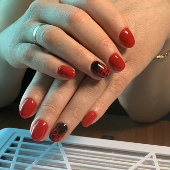 Ірина Палихата, Тернопіль Фото - 21