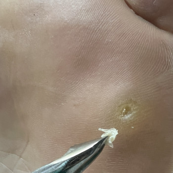 Наталья Балаховская, Кременчуг Фото - 44