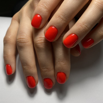 Надія Сташкевич, Українка Фото - 36