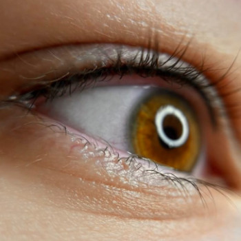 Даріна , Київ Фото - 5