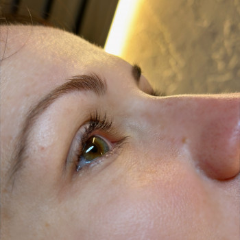 Оформление бровей (коррекция +окрашивание)
                    Бровист Александра Одесса