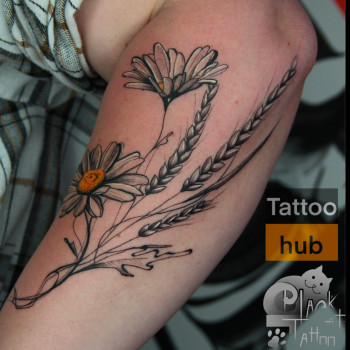 Юлія Коловратова, Канів Фото - 3