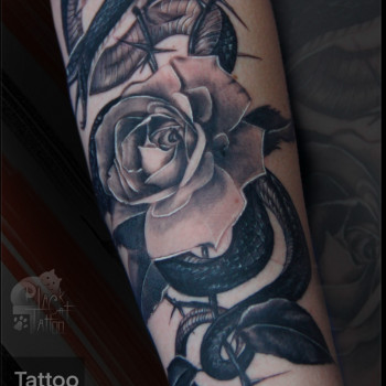 Юлія Коловратова, Канів Фото - 6