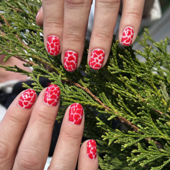 Granat, Киев Фото - 14